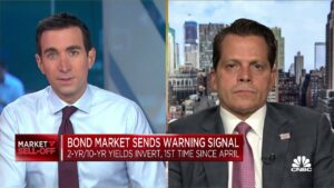Read more about the article Anthony Scaramucci explains why he bought more bitcoin and ethereum