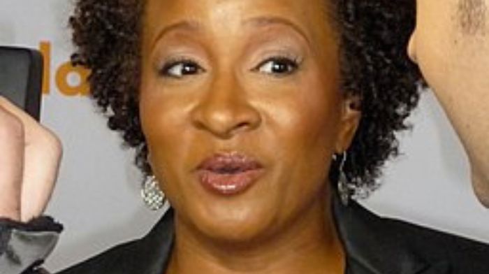 You are currently viewing Liberal Celebrity Wanda Sykes Attacks Middle America, Providing Electoral College Fans A Built-In Argument